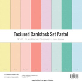 Craftelier Cardstock Pack, Pack of 24 Cardstock for Scrapbooking and Crafts Projects, Pastel Texture, Dimensions 30 x 30 cm, Weight 216 g