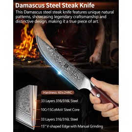 XINZUO 5Pcs Steak Knives Set, Non Serrated Dinner Knives with Drawer Knife Holder,67-layer Damascus Steel Kitchen Knife with Rose Wood Handle, Acacia Wood Knife Block