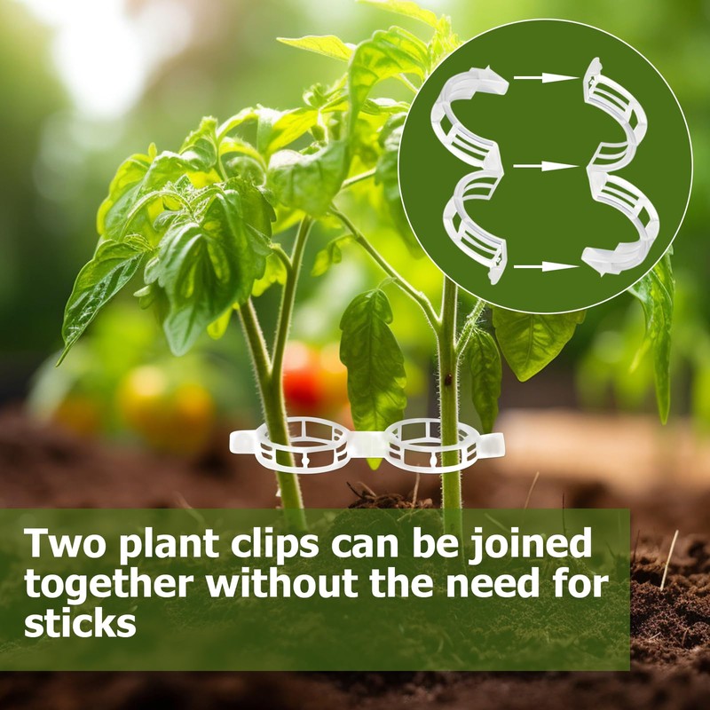 Hillylolly Pack of 300 Plant Clips, Tomatoes, Tomato Clips, White,