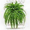 Juecao Large Artificial Boston Fern 68" Fake Ferns Silk Artificial