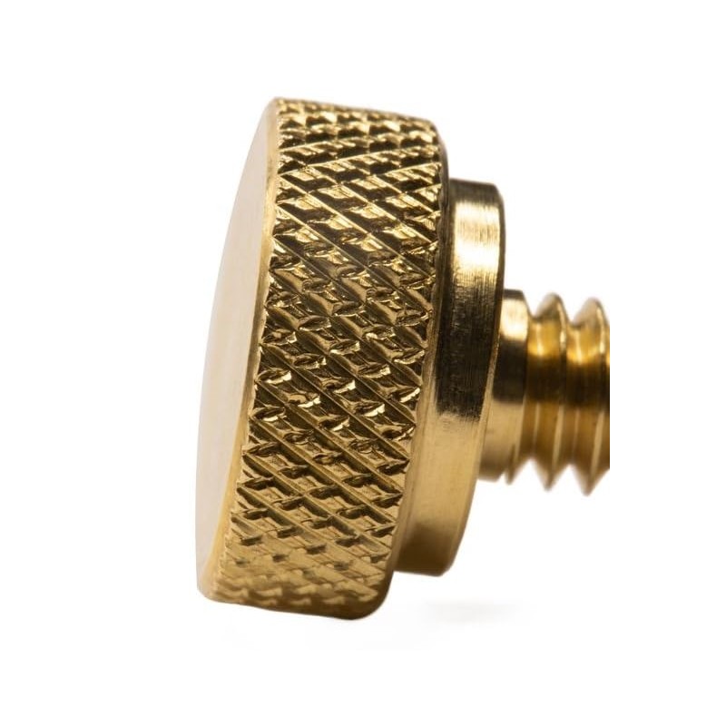 10 Pack of 1/4-20 Brass Knurled Thumb Screws 3/4" Thread