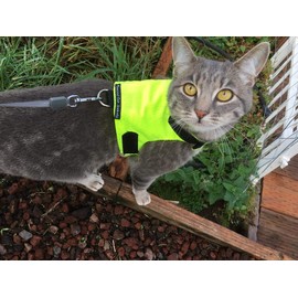 Mynwood Cat Jacket/Harness High Viz Adult Cat