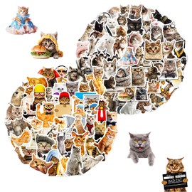 Tisaindor 100 PCS Cute Cat Stickers for Kids, Funny Kitten Stickers for Journaling Laptop Scrapbook Water Bottles Guitar Skateboard,Cat Decals for Teens Adults Kids Gift (Cat)