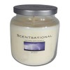 Scentsational Storm Jar Scented Candle - Fresh After Rain Breeze