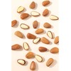 Original Flavor Open Pine Nuts Snacks, Pine Nuts Dry Fruit