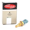 Delphi TS10253 Switch