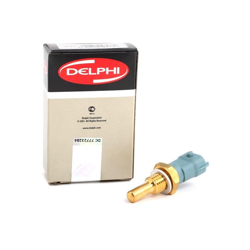 Delphi TS10253 Switch