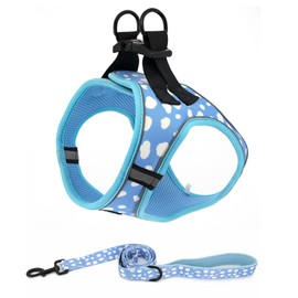 Juego de arnés y correa para perro sin tirones, arnés reflectante para perro, arnés a prueba de escapes, para caminar, entrenamiento, correr (M, cielo azul)