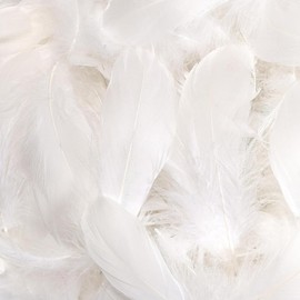WJWINER Pack of 400 Feathers, Feathers for Crafts, Craft Feathers, Colourful Feathers for Crafts, Fluffy Feathers, for DIY Crafts, Decoration, Easter, Christmas Decoration Figure (White)