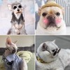 Summer 3 Piece Set for Small Dogs and Cats, Straw