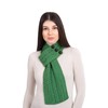 SAOL 100% Merino Wool Loop Scarf for Women, Green, One