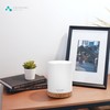ASAKUKI 300ML Essential Oil Diffuser, Quiet 5-in-1 Premium Humidifier, Home