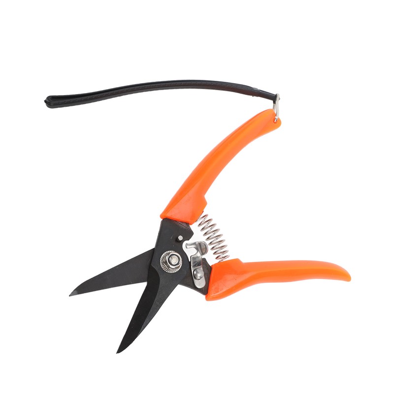 Hoof Shear Red Stainless Steel High Carbon Steel Multifunctional Hoof