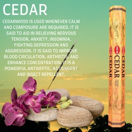 HEM Incense sticks CEDAR | Pack of 6 | with SAMASIA incense stick holder for Aromatherapy, Incense Spa, Yoga, Meditation, Healing, Spirituality and Relaxation