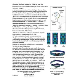 Lupine Martingale Dog Collar 3/4" wide Petunias Adjusts from 14" to 20"
