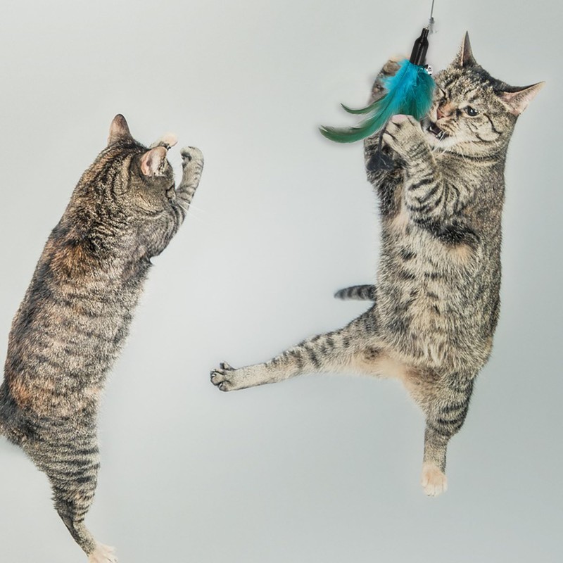 CAPASTEC Pack of 3 cat wand replacements, cat wand refills,