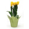 Queen of Wrap Premium 4.5" Pearlizedd Floral foil Plant Pot