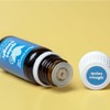 Plant Therapy Kids Quiet Cough Essential Oil Blend 10 mL