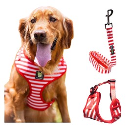 EcoBark Dog Harness and Matching Leash Combo Set; Soft Double Padded, Fully Adjustable Neck and Tummy for Small and Medium Dogs (Small, Stripe)
