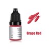 New 5ml Permanent Makeup Pigment Ink Eyebrow Lip Microblading Tattoo
