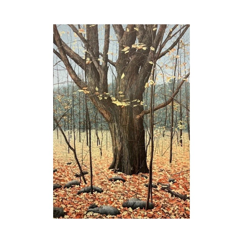 Helen Rundell "Old Oak" FRAMED Limited Edition Nature Art Landscape