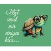 Farbwuselei Glasses Cleaning Cloth Turtle Green Now Will Mir Some