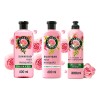 Herbal Essences Rosa Shampoo + Acondiciona + Crema 3pzs