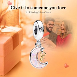 Rimgoris 925 Sterling Silver Charm for Women Bracelets Necklace Rose Gold Star & Moon & Sun Key Star Planet Clips Star & Moon Starfish Embed Dangle Charm Gift, Silver, Cubic Zirconia