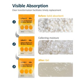 wisedry 100 Gram Moisture Absorber Packets of 10