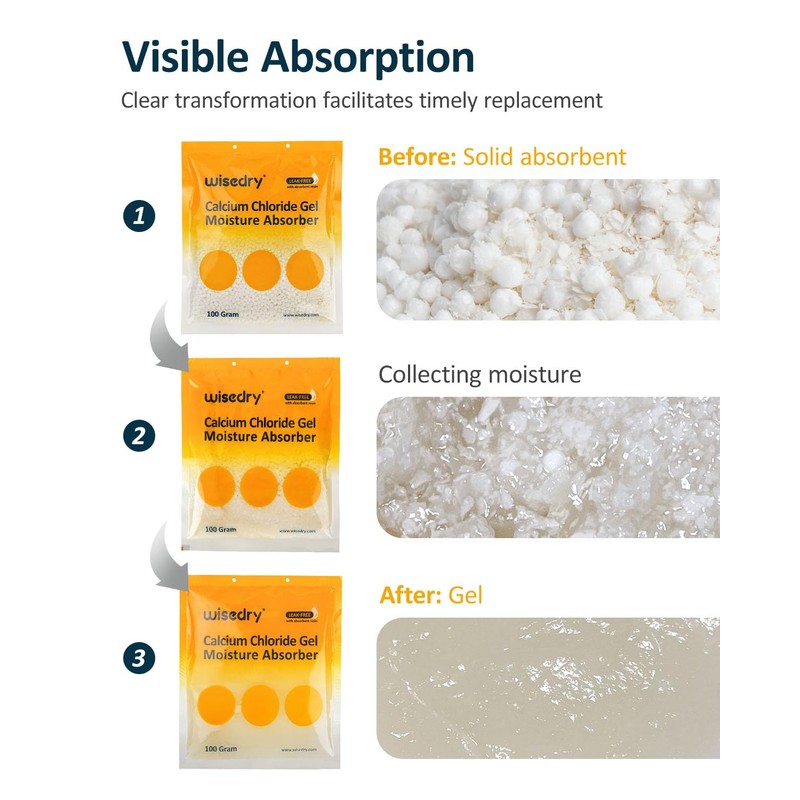 wisedry 100 Gram Moisture Absorber Packets of 10