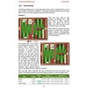 Conquering Backgammon - 2nd Edition