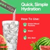 Generic Dialed Moods Electrolyte Powder - Watermelon Wipeout – Electrolyte