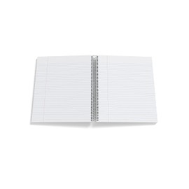 STAPLES Premium 5-Subject Notebook 8.5 x 11-Inch, College Ruled, 200 Sheets, Brown Cover (TR52122)