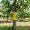 10 m Nastro Collante Biadesivo per Alberi, 25 cm