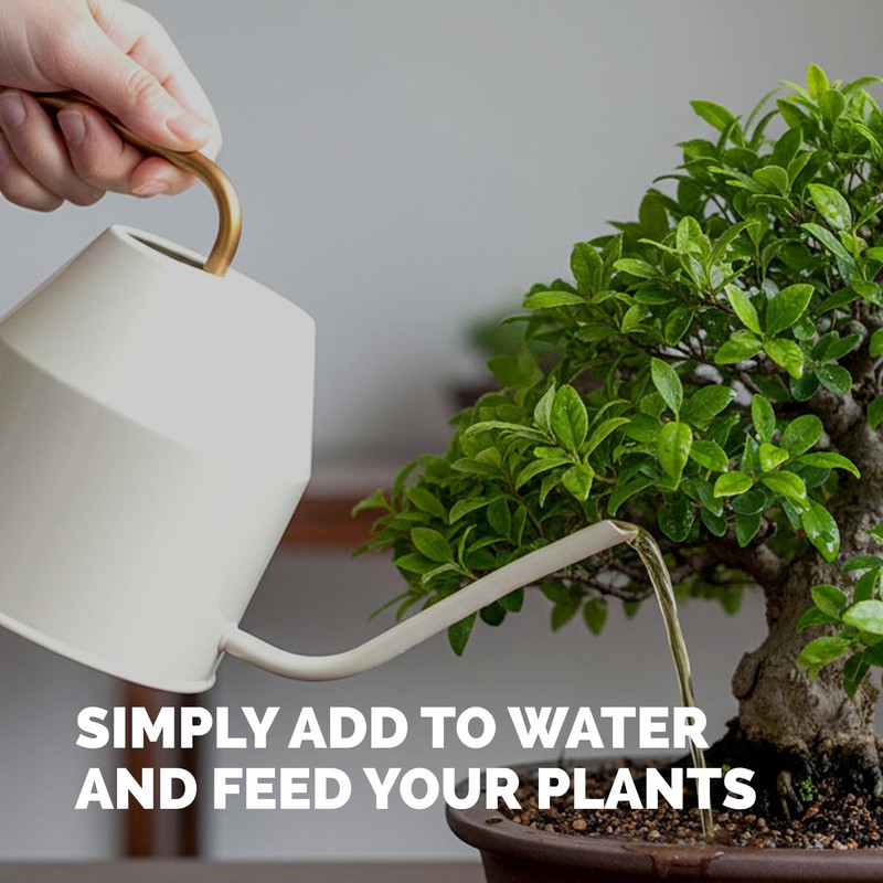 Bonsai Fertilizer for All Bonsai Trees, Great for Root Soaks,