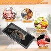 Qualirey 10 Pack 10 inch Sticky Mouse Traps with 6