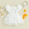 Newborn Baby Girl Romper Dress Flower Embroidered Puff Sleeve Tulle