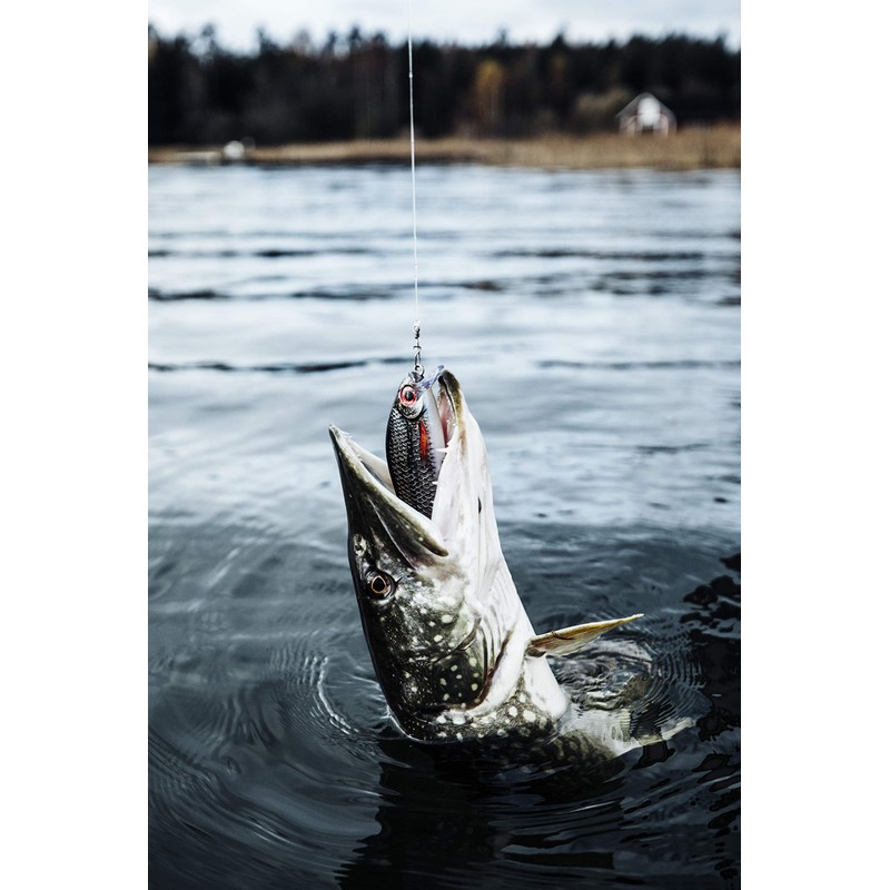 Rapala Super Shadow Wrap, 6.3 inches (16 cm), SSDR16 TRL