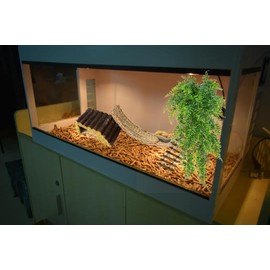 5PCS Reptile Habitat Set with Climbing Ladder for Active Geckos, Resin Hideouts for Lizards, Cozy Hammocks for Relaxing Bearded Dragons, Lush Jungle Vines for Climbing Hanging Plants