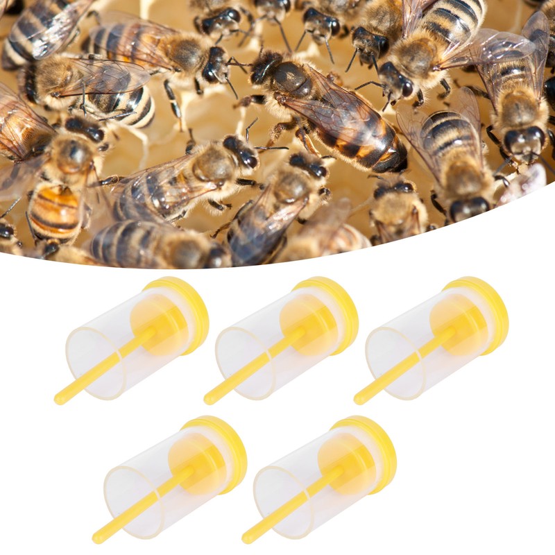 5Pcs Queen Bee Marking Bottle Catcher Cage Tube Lightweight Plastic