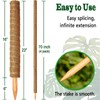 4 Pack 22 Inch Moss Poles, Stackable Moss Pole for