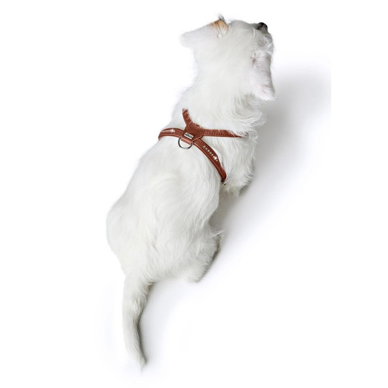 HUNTER Round & Soft Canadian UP Dog Harness, Colour: Black,