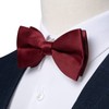 DiBanGu Silk Burgundy Red Satin Pre-Tied Bow Ties and Pocket