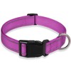 Reflective Dog Collar with Buckle Adjustable Safety Nylon Collars for