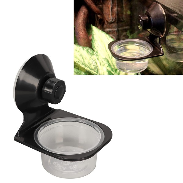 Gecko Feeding Bowl Reptile Food and Water Cup Crested Gecko