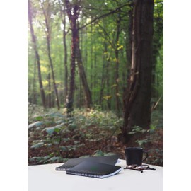 Rhodia Rhodiactive Greenbook 119915C Spiral Notebook, Ruled, DIN A5+, 16 x 21 cm, 80 Sheets, Micro-Perforated, 4-Hole Punched, 100% Recycled Paper, 90, Black, Pack of 1