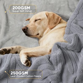 Baodan Waterproof Dog Blanket, 63x73cm Washable Fleece Pet Blanket for Dogs, Fluffy Puppy Blanket Warm and Soft Pet Throw for Bed Couch and Sofa, Grey