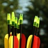 PATIKIL 8mm Archery Arrows Nocks, 60 Pcs Plastic Glue on