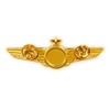Airlines Pilot Wings Captains Badge Wing Pin