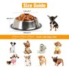 2 Pack Stainless Steel Dog Bowl Anti-Skid Non-Toxic Pets Food